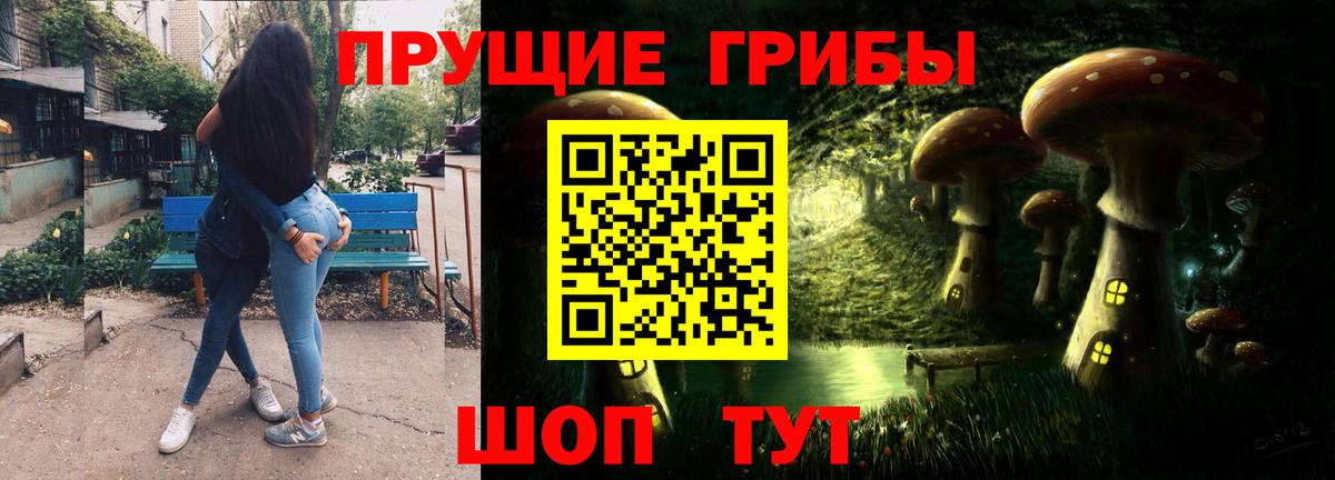 Павлово  Галлюциногенные грибы Psilocybine cubensis  Вход с VPN 